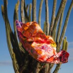 apaszka jedwabna dwustronna żuki spadiora 33