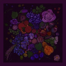 wzor powidla spadiora