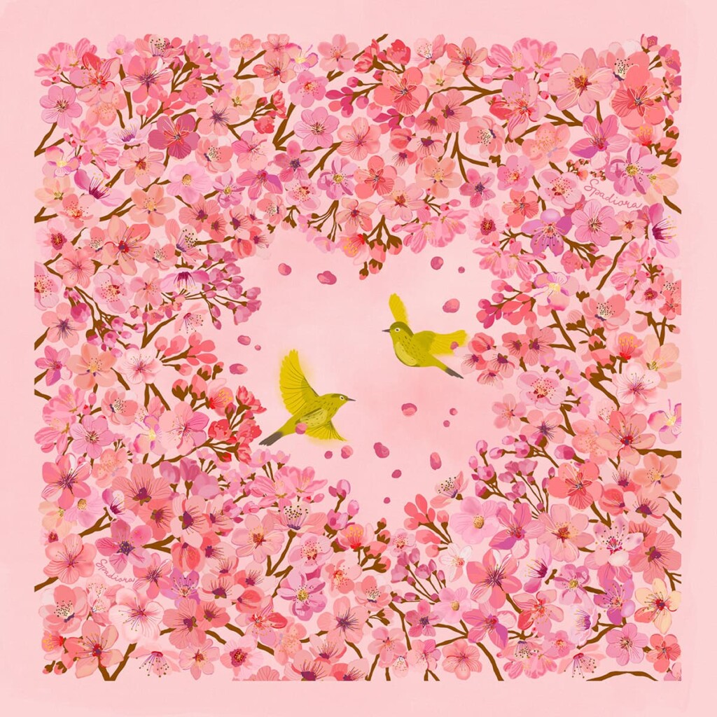 wzor sakura o poranku spadiora